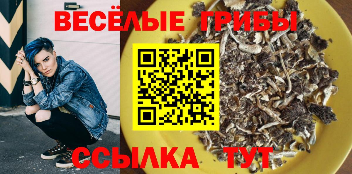 Рубцовск  Галлюциногенные грибы мицелий  как найти   Галлюциногенные грибы ЛСД  Вход с VPN 